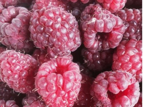 Eau de vie framboise 